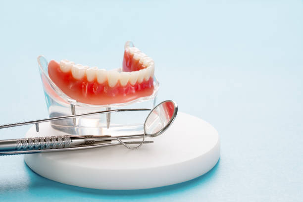 Best Pediatric Dentistry  in Shavano Park, TX